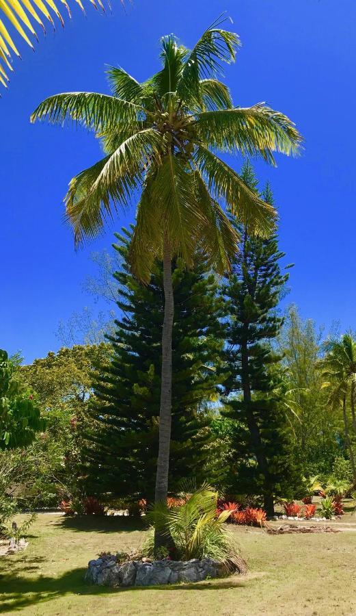 Poponi Cottage Cottage North Palmetto Point Eksteriør billede